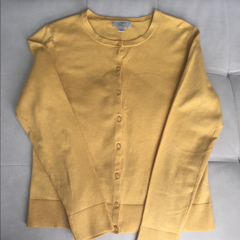 Loft Cardigan Sweater